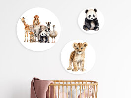 muurcirkel set 3 safari dieren