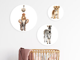 muurcirkel set 6 safari dieren