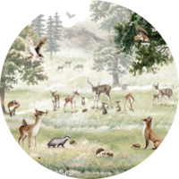 Muurcirkel Forest fun 