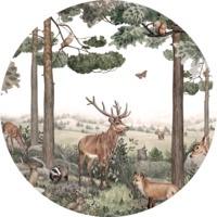 muurcirkel forest jive