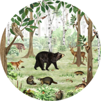 muurcirkel forest lookbook