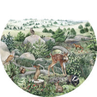 muurcirkel happy hills