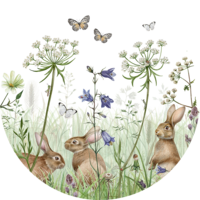 muurcirkel in the undergrowth