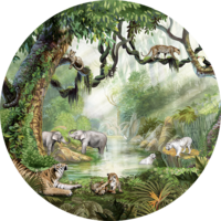 muurcirkel jungle cats