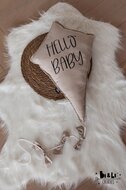 Decoratie vlieger hello baby