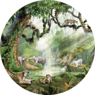 muurcirkel jungle cats