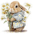 poster bunny flowers 5_