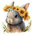 poster sunflower bunny_