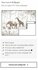 animal parade brown behang kikki belle_